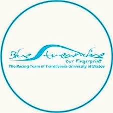 Bluestreamline logo